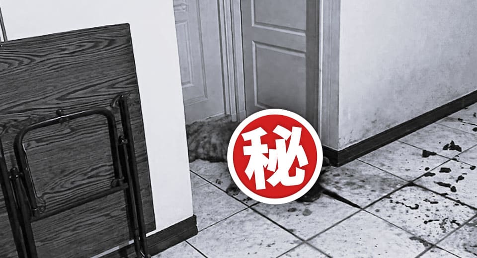 黃金獵犬活活餓死密室  揭開動保法難以觸及的寵物命案現場
